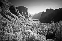 Tunnel View