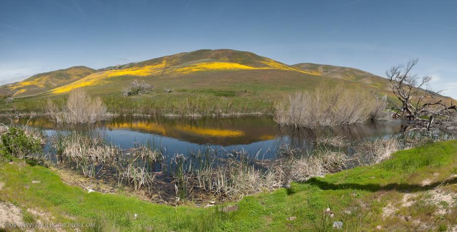 Gormon Hills