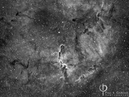 Elephant Trunk Nebula
